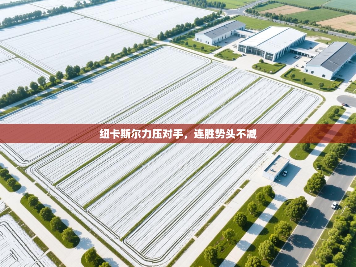 纽卡斯尔力压对手,连胜势头不减 第2张