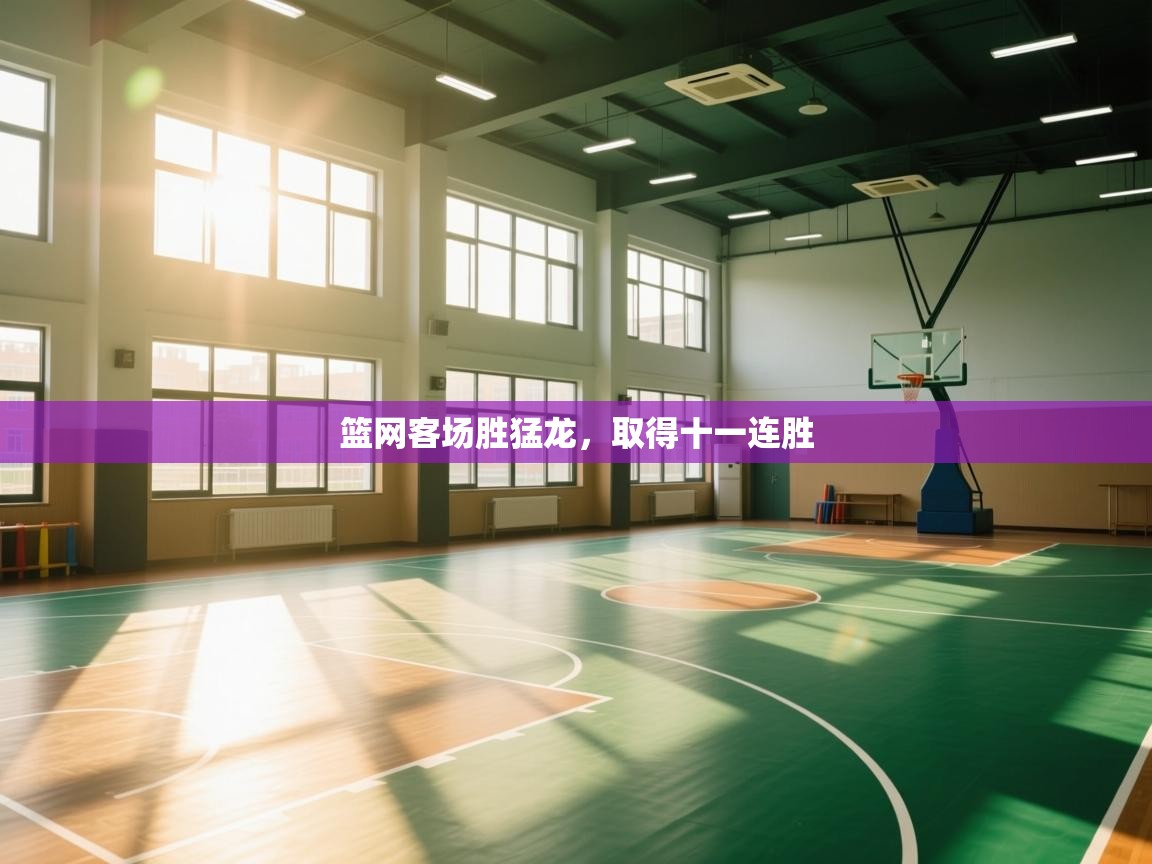 篮网客场胜猛龙，取得十一连胜  第2张