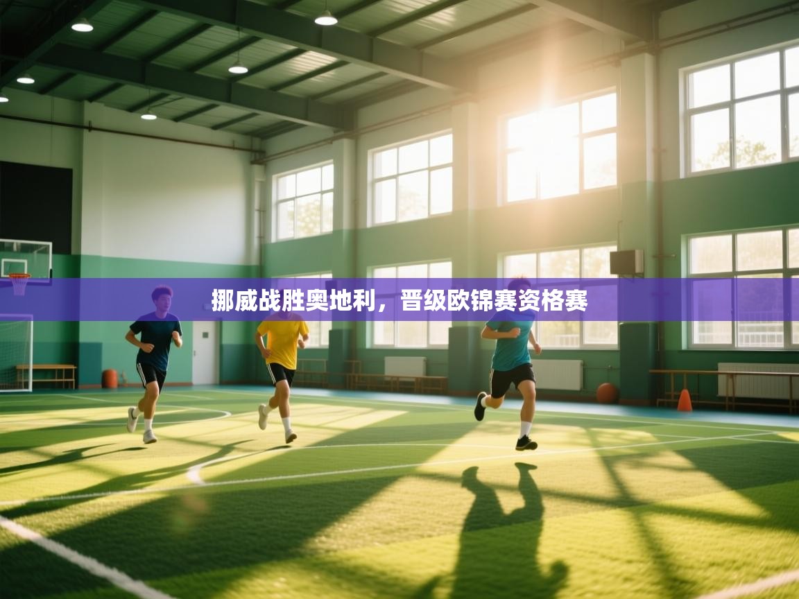 挪威战胜奥地利,晋级欧锦赛资格赛 第1张