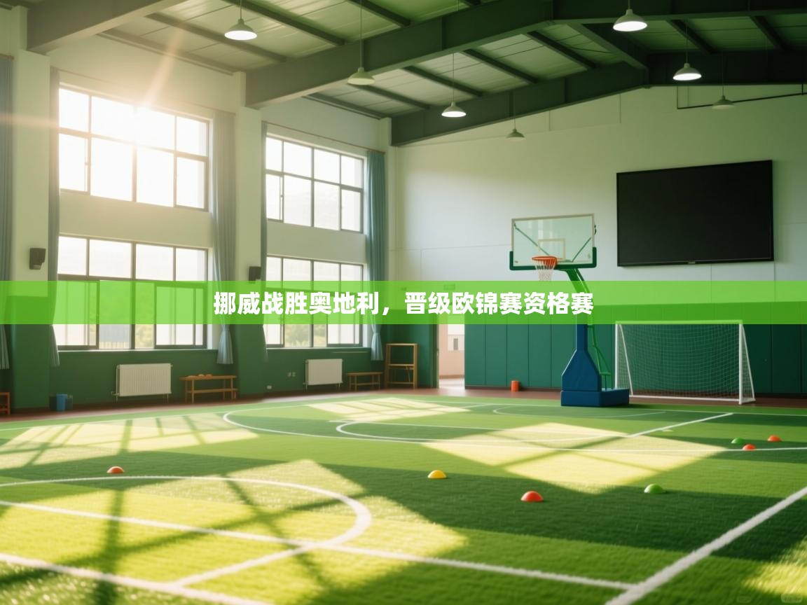 挪威战胜奥地利,晋级欧锦赛资格赛 第2张