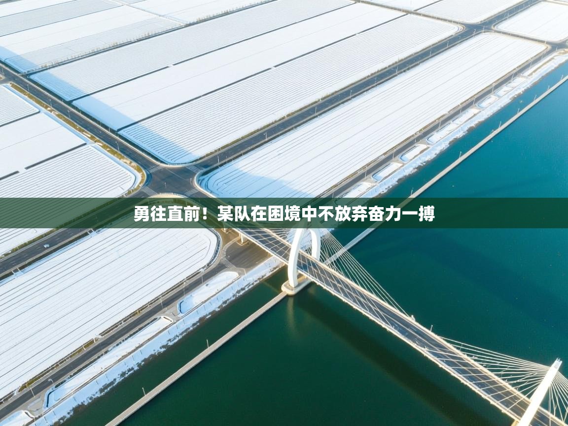 勇往直前！某队在困境中不放弃奋力一搏