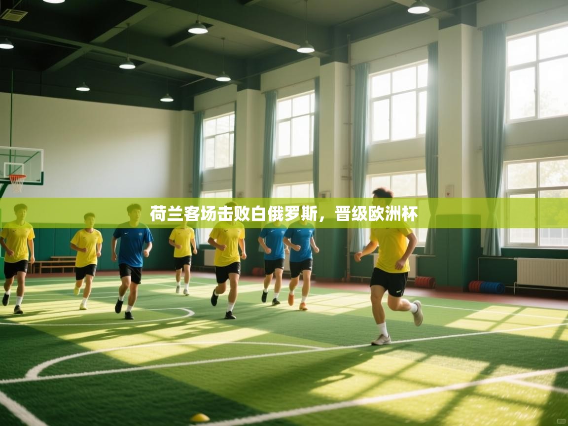 荷兰客场击败白俄罗斯，晋级欧洲杯