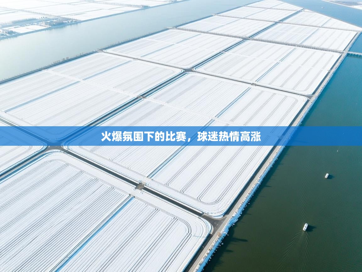 火爆氛围下的比赛，球迷热情高涨